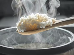Có nên vo gạo trước khi nấu?